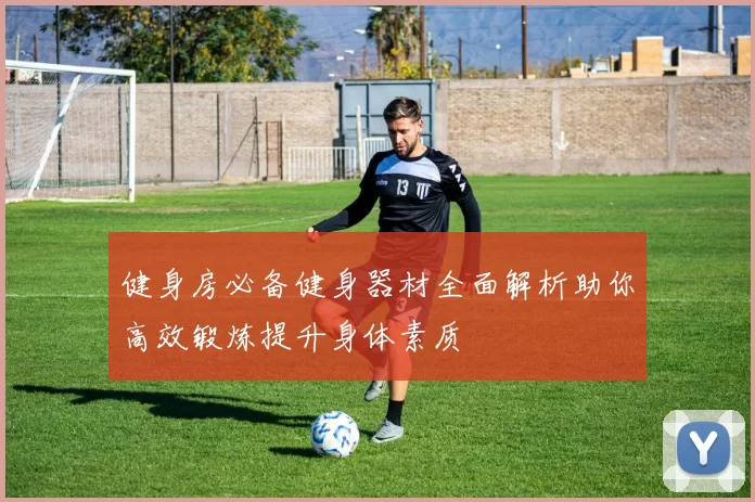 健身房必备健身器材全面解析助你高效锻炼提升身体素质