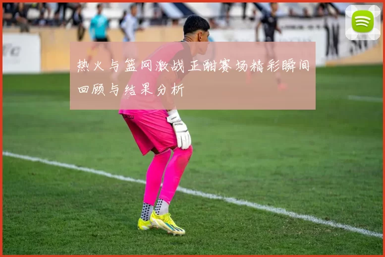 热火与篮网激战正酣赛场精彩瞬间回顾与结果分析